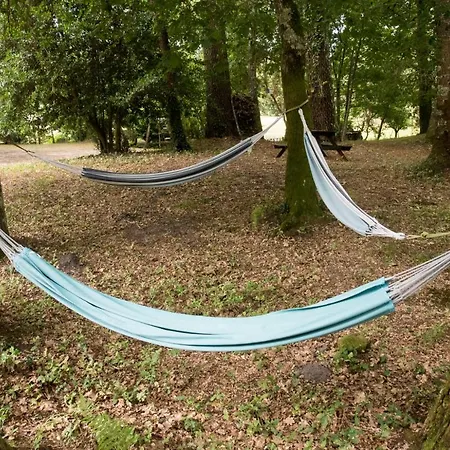 Bed & Breakfast Au Domaine De L'etang - Chambres Chez L'habitant Garrosse