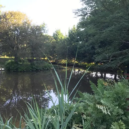 Au Domaine De L'etang - Chambres Chez L'habitant Garrosse
