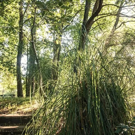 Au Domaine De L'etang - Chambres Chez L'habitant