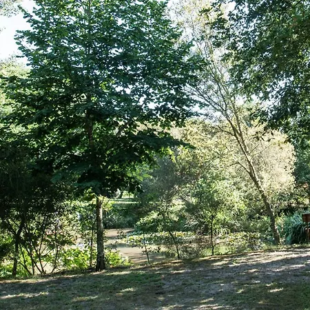 Au Domaine De L'etang - Chambres Chez L'habitant Bed & Breakfast