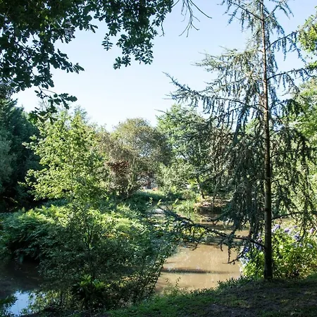 Au Domaine De L'etang - Chambres Chez L'habitant * Garrosse