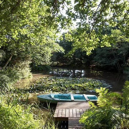 Au Domaine De L'etang - Chambres Chez L'habitant *