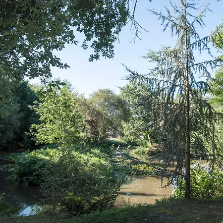 Au Domaine De L'etang - Chambres Chez L'habitant Bed & Breakfast